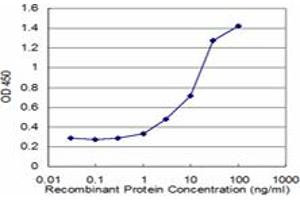 anti-3-Hydroxy-3-Methylglutaryl-CoA Synthase 2 (Mitochondrial) (HMGCS2) (AA 424-508) antibody