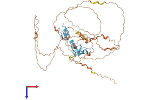 AlphaFold protein structure predicition of Mouse Recombinant Klf5 Protein, UniprotID Q9Z0Z7