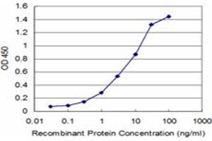Detection limit for recombinant GST tagged NBR1 is approximately 0. (NBR1 anticorps  (AA 2-96))