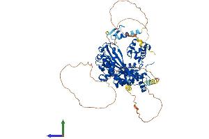 AlphaFold protein structure predicition of Human Recombinant POLH Protein, UniprotID Q9Y253