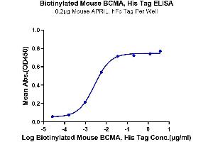 Immobilized Mouse APRIL, hFc Tag at 2 μg/mL (100 μL/well) on the plate.