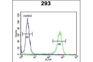 JHDM1D Antibody (Center) (ABIN651309 and ABIN2840180) flow cytometric analysis of 293 cells (right histogram) compared to a negative control cell (left histogram). (JHDM1D anticorps  (AA 290-316))