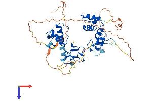AlphaFold protein structure predicition of Mouse Recombinant Rffl Protein, UniprotID Q6ZQM0