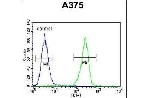 LUM Antibody (Center) (ABIN391882 and ABIN2841702) flow cytometric analysis of  cells (right histogram) compared to a negative control cell (left histogram). (LUM anticorps  (AA 198-227))
