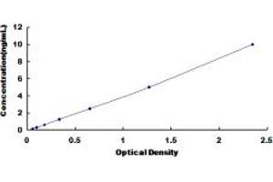Typical standard curve (PLAGL1 Kit ELISA)