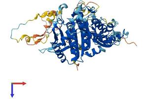 AlphaFold protein structure predicition of Human Recombinant MSTO1 Protein, UniprotID Q9BUK6