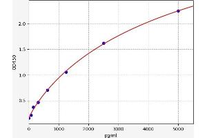Stanniocalcin 1 (STC1) ELISA Kit