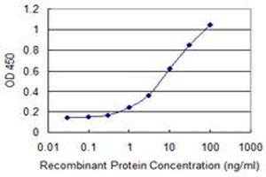 Detection limit for recombinant GST tagged ZSCAN16 is 0. (ZSCAN16 anticorps  (AA 132-230))