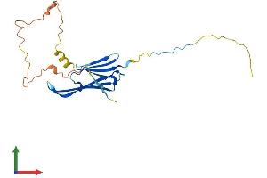 AlphaFold protein structure predicition of Mouse Recombinant Hspb1 Protein, UniprotID P14602