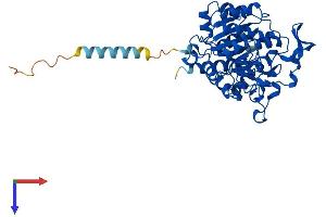 AlphaFold protein structure predicition of Mouse Recombinant Gcnt1 Protein, UniprotID Q09324