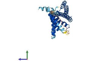AlphaFold protein structure predicition of Human Recombinant PEX11B Protein, UniprotID O96011