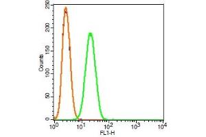 Rat RSC96 cells probed with HIF2 alpha Polyclonal Antibody, FITC conjugated (bs-1447R-FITC) (green) at 1:100 for 30 minutes compared to unstained cells (blue) and isotype control (orange).