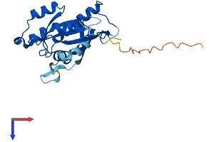 AlphaFold protein structure predicition of Mouse Recombinant Rab39a Protein, UniprotID Q8BHD0