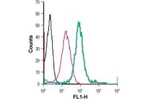 Cell surface detection of P2RX4 in live intact human  monocytic leukemia cells:___ Cells.