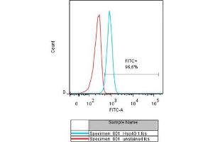 This image has been kindly submitted by Tübingen Ageing and Tumour Immunology Group (TATI), Centre for Medical Research (ZMF), University of Tübingen Medical School www.