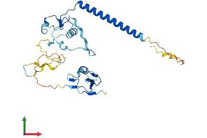 AlphaFold protein structure predicition of Human Recombinant MBD3 Protein, UniprotID O95983