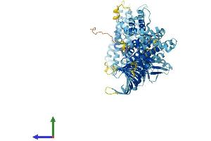 AlphaFold protein structure predicition of Mouse Recombinant Als2cl Protein, UniprotID Q60I26