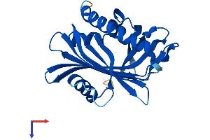 AlphaFold protein structure predicition of Mouse Recombinant Pctp Protein, UniprotID P53808