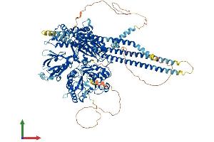 AlphaFold protein structure predicition of Mouse Recombinant Plcb1 Protein, UniprotID Q9Z1B3