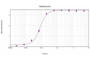 ELISA Results of Goat F(ab')2 Anti-Mouse IgG Antibody Biotin Min X Bv Hs Hu Rb Rt Sh Serum Proteins.