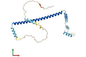 AlphaFold protein structure predicition of Mouse Recombinant Clta Protein, UniprotID O08585