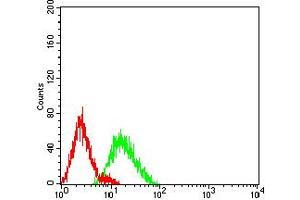 Flow cytometric analysis of HL-60 cells using CD106 mouse mAb (green) and negative control (red).