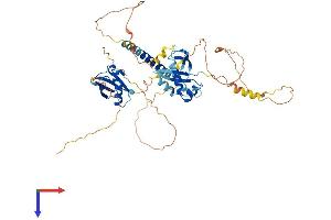 AlphaFold protein structure predicition of Mouse Recombinant Midn Protein, UniprotID Q3TPJ7