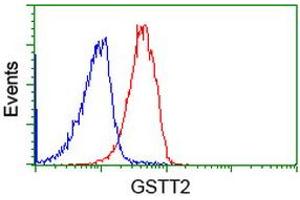 Image no. 2 for anti-Glutathione S-Transferase theta 2 (GSTT2) antibody (ABIN1498554)
