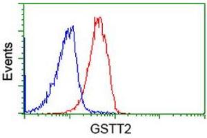 Image no. 2 for anti-Glutathione S-Transferase theta 2 (GSTT2) antibody (ABIN1498554) (GSTT2 anticorps)