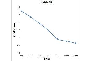 Antigen: 0. (IL17B anticorps  (AA 21-120))