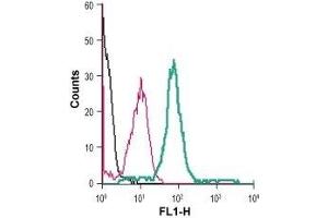 Cell surface detection of CB1 receptor in live intact human THP-1 monocytic leukemia cells: (black line) Cells.