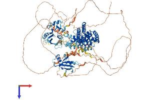 AlphaFold protein structure predicition of Mouse Recombinant Rin3 Protein, UniprotID P59729