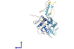 AlphaFold protein structure predicition of Human Recombinant ZNF627 Protein, UniprotID Q7L945