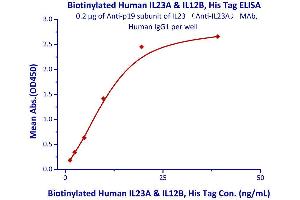 Immobilized Anti-IL23A mAb, Human IgG1 at 2μg/mL (100 μL/well) can bind Biotinylated Human IL23A & IL12B, His Tag  with a linear range of 1. (IL12A & IL27B (AA 20-189) (Active) protein (His tag,AVI tag,Biotin))