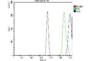 Flow Cytometry analysis of A431 cells using anti-SSB antibody (ABIN7602125). (SSB anticorps  (AA 6-283))