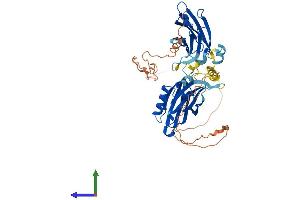AlphaFold protein structure predicition of Mouse Recombinant Syt17 Protein, UniprotID Q920M7