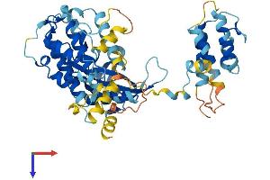 AlphaFold protein structure predicition of Mouse Recombinant Mapkapk5 Protein, UniprotID O54992