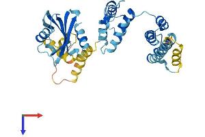 AlphaFold protein structure predicition of Mouse Recombinant Pnma1 Protein, UniprotID Q8C1C8
