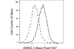 Flow cytometric analysis of ASRGL1 expression in HeLa cells using ASRGL1 antibody (ABIN7797661), 1:2,000). (ASRGL1 anticorps)