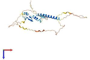 AlphaFold protein structure predicition of Human Recombinant TNFRSF13B Protein, UniprotID O14836