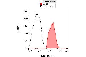 Surface staining of CD103 on PHA-activated PBMC with anti-CD103 (Ber-ACT8) PE. (CD103 anticorps  (PE))