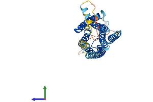 AlphaFold protein structure predicition of Human Recombinant GPR3 Protein, UniprotID P46089