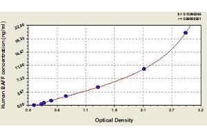 Typical standard curve (BAFF Kit ELISA)