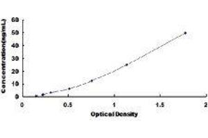 Bone Morphogenetic Protein Receptor 1A (BMPR1A) ELISA Kit