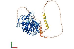 AlphaFold protein structure predicition of Mouse Recombinant Csnk1e Protein, UniprotID Q9JMK2