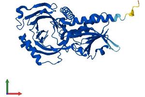AlphaFold protein structure predicition of Mouse Recombinant Dao Protein, UniprotID P18894