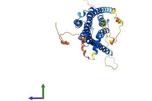 AlphaFold protein structure predicition of Human Recombinant ADRB3 Protein, UniprotID P13945