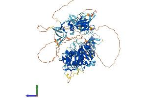 AlphaFold protein structure predicition of Human Recombinant CYLD Protein, UniprotID Q9NQC7