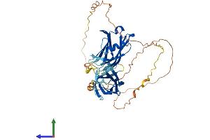 AlphaFold protein structure predicition of Human Recombinant SYT13 Protein, UniprotID Q7L8C5