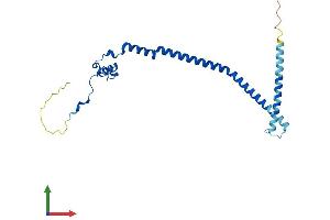 AlphaFold protein structure predicition of Human Recombinant GADD45GIP1 Protein, UniprotID Q8TAE8
